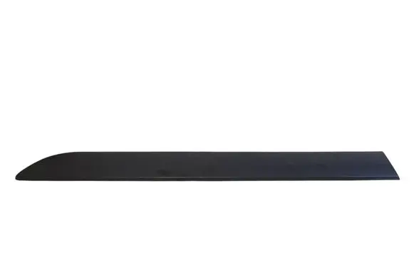 Citroen Jumpy Rear door trim (molding) 1497643077