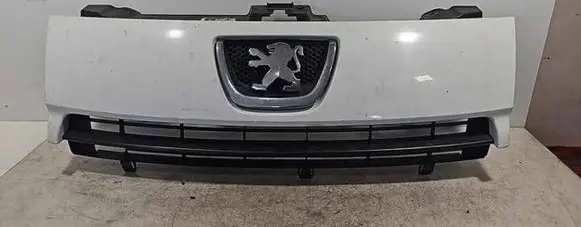 Front bumper upper radiator grill