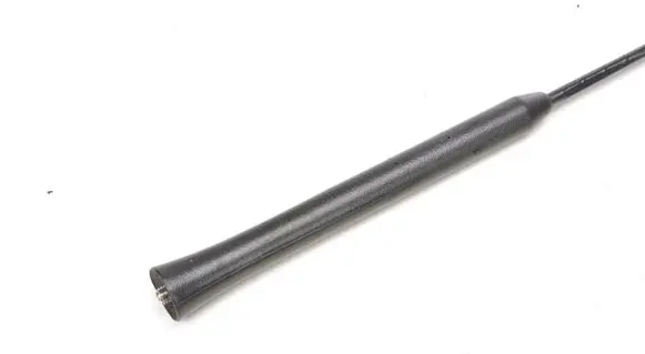 Ford Ecosport Radio antenna 