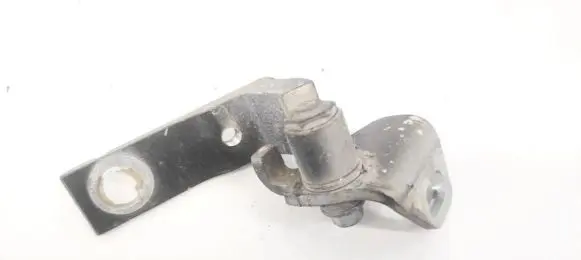 Rear door lower hinge