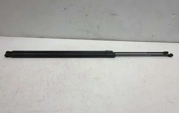 Renault Kangoo II Tailgate/trunk strut/damper 8200497806