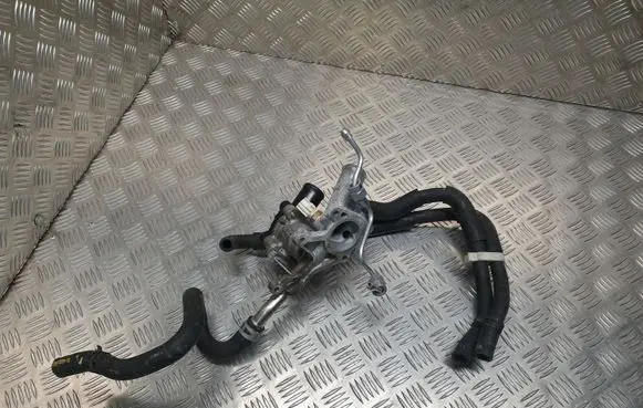 Thermostat/thermostat housing