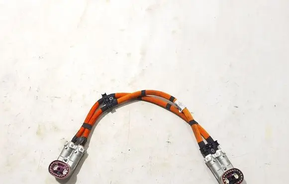 Mercedes-Benz EQS V297 Other wiring loom A2975404516