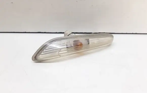 Front fender indicator light