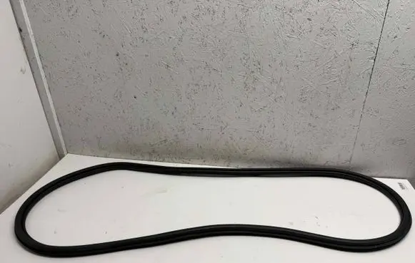 Seat Arona Rubber seal rear door 