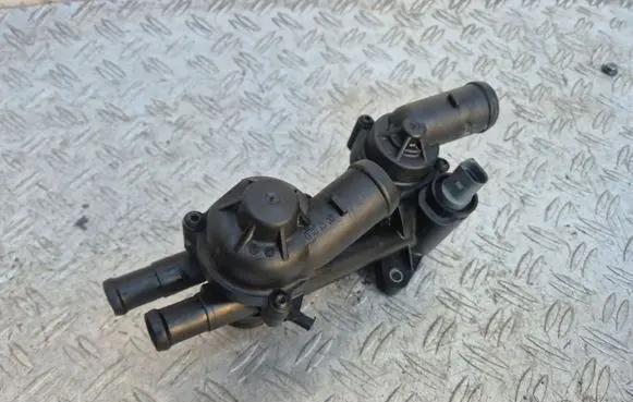 Thermostat/thermostat housing