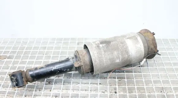 Land Rover Range Rover Sport L320 Air suspension front shock absorber 22249855