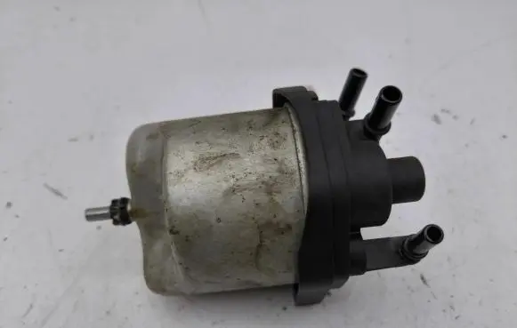 Citroen C4 II Picasso Fuel filter 9672314980