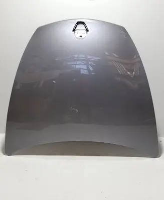 Renault Laguna III Engine bonnet/hood 651002983R