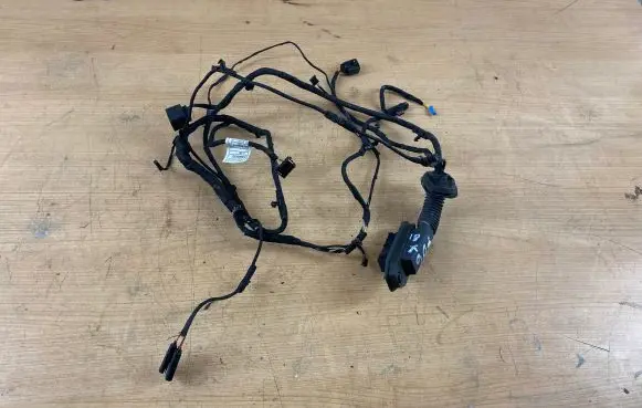 BMW 6 F06 Gran coupe Rear door wiring loom 4366595