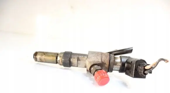 Citroen C2 Fuel injector