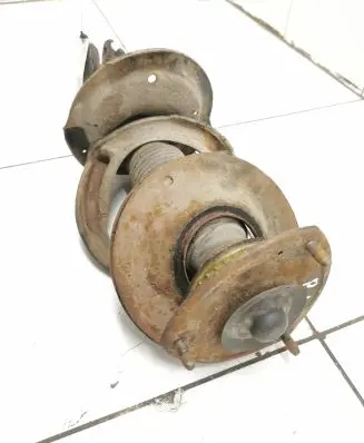 Hyundai Santa Fe Front shock absorber/damper 546502B201