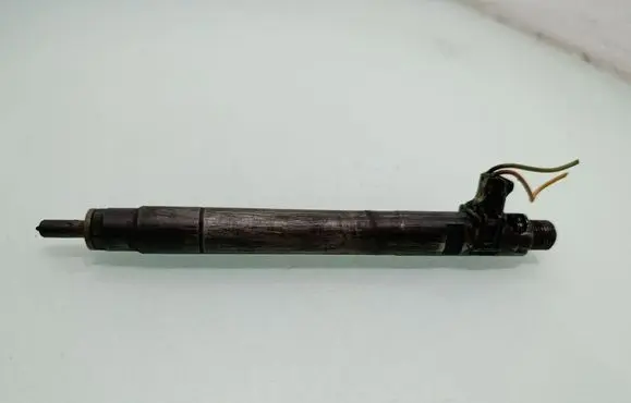 Citroen C5 Fuel injector EMBR00101D