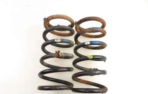 Hyundai Santa Fe Rear coil spring