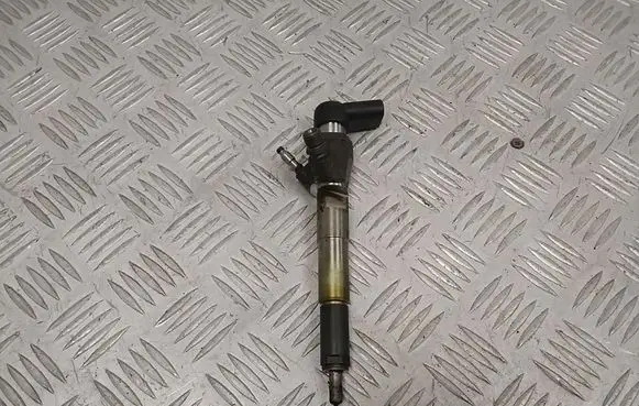 Nissan Qashqai Fuel injector 166006212R