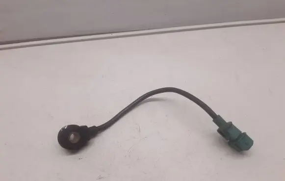 Peugeot 406 Detonation knock sensor 026123110