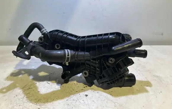 Thermostat/thermostat housing