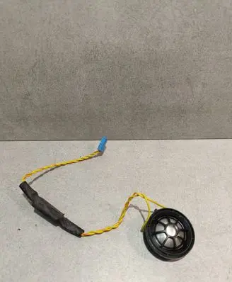 Front door high frequency speaker