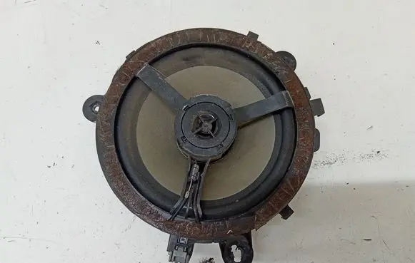 Rear door speaker