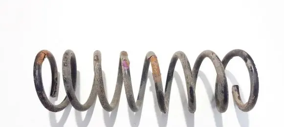 Ford C-MAX II Rear coil spring