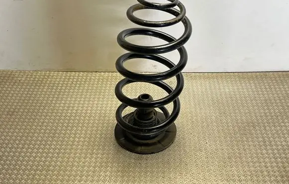 Rear coil spring