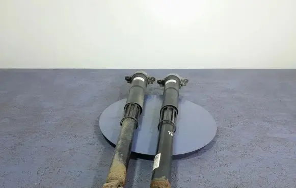 Skoda Octavia Mk3 (5E) Rear shock absorber/damper 5Q0513423B