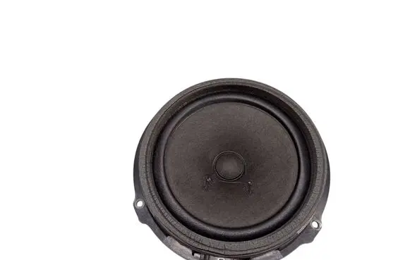 Ford Mondeo MK IV Front door speaker 6M2T18808AB
