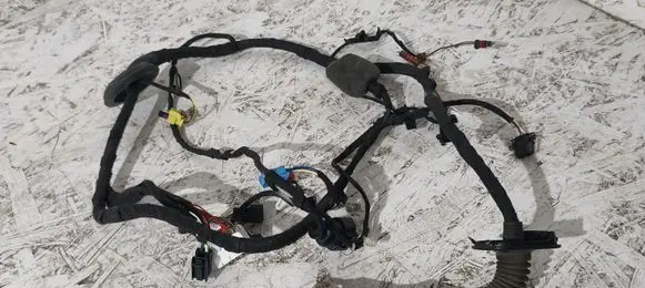 Audi A5 Front door wiring loom 8W8971029AE