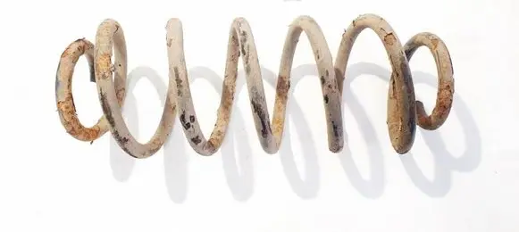 Rear coil spring