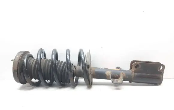 BMW X5 E53 Front shock absorber with coil spring