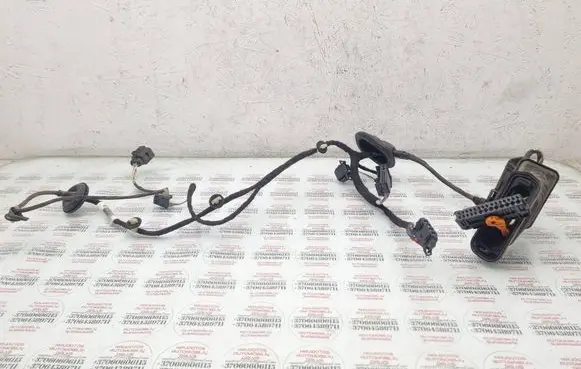 Volkswagen PASSAT B7 Rear door wiring loom 3AA971694DG