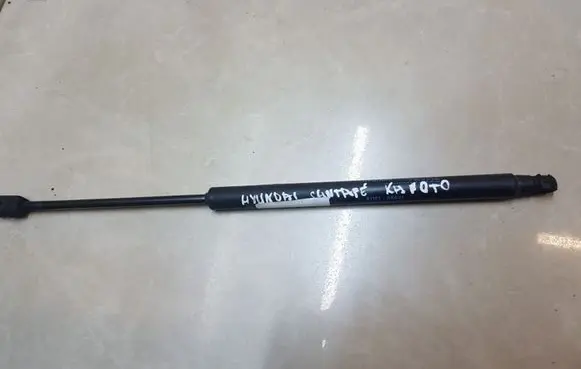 Hyundai Santa Fe Front bonnet/hood damper/strut 8116126021