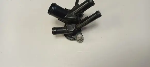 Thermostat/thermostat housing