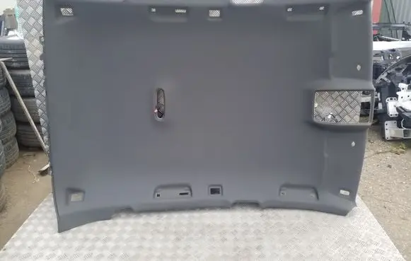 Audi Q5 SQ5 Headlining 8R0867501M