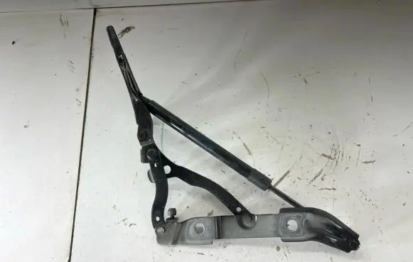 BMW 2 F22 F23 Engine bonnet/hood hinges 7304557