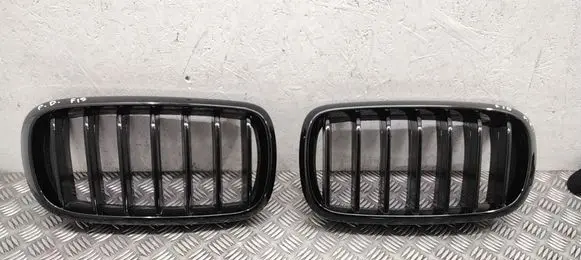 BMW X5 F15 Front bumper upper radiator grill 7303107 7294485