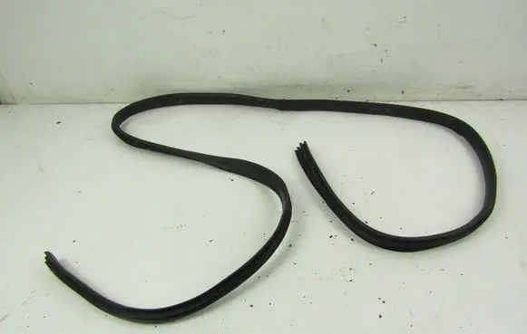 Dacia Logan Pick-Up Front door rubber seal 