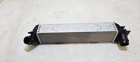 BMW X1 U11 Intercooler radiator 9846915