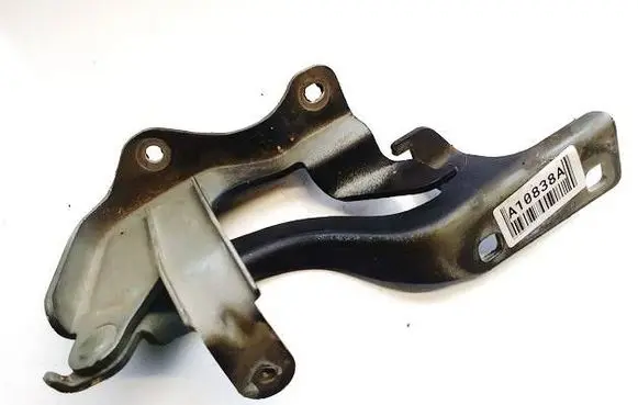 Opel Antara Engine bonnet/hood hinges