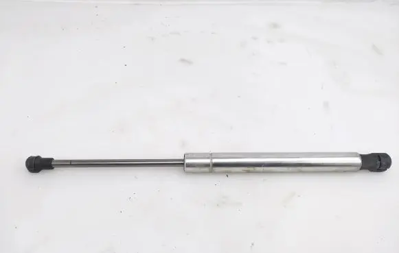 Tailgate/trunk strut/damper