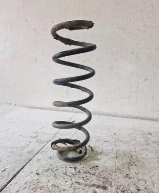 Rear coil spring