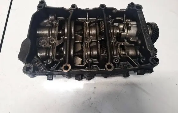 Volkswagen PASSAT B6 Oil pump 