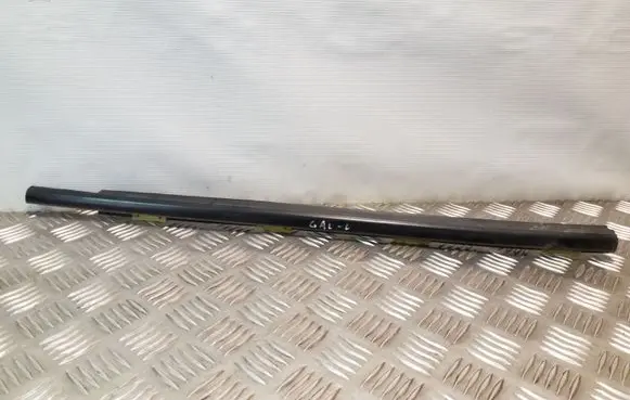 Hyundai Santa Fe Rear door glass trim molding