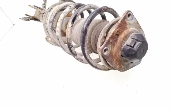 Front shock absorber with coil spring