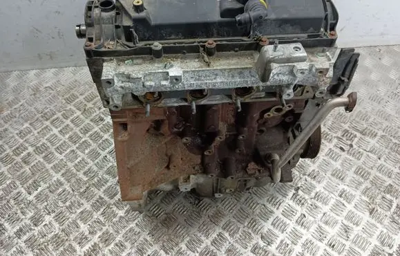 Nissan Juke I F15 Engine 19733R