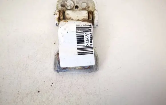 Ford Transit Rear door lower hinge