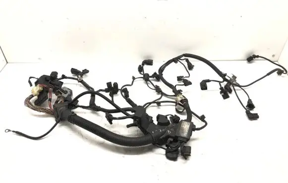 Engine installation wiring loom