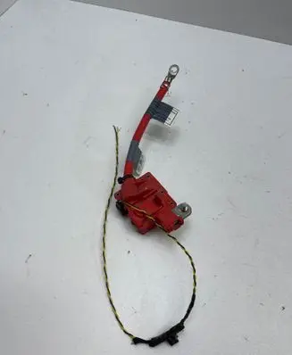 Volkswagen PASSAT B7 Positive cable (battery) 10304410 9217017