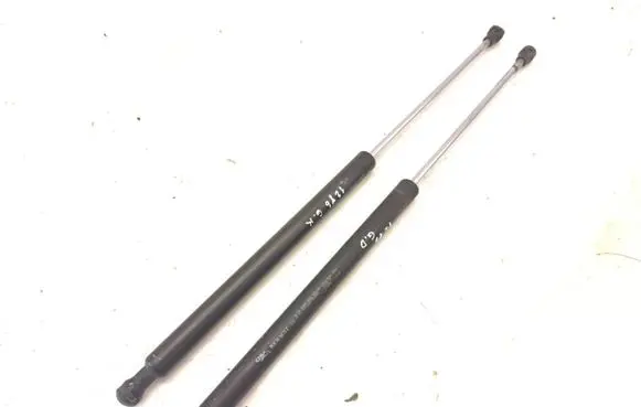 Tailgate/trunk strut/damper