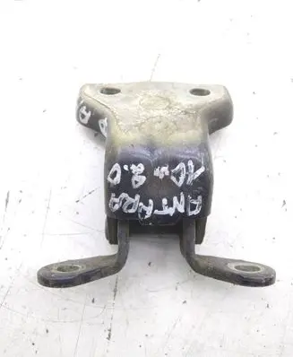 Opel Antara Rear door lower hinge